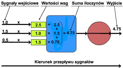 Rozmiar: 7852 bajtw